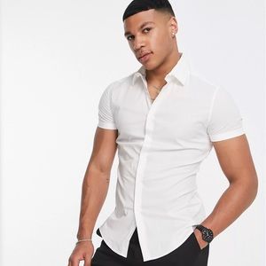 Brand New Muscle Fit Mens Collard Shirt